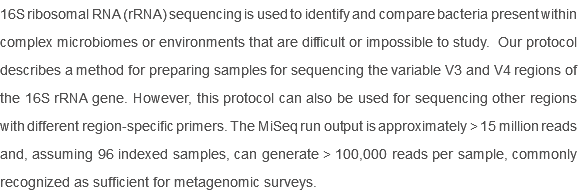 16S ribosomal RNA (rRNA) sequencing is used to identify and compare bacteria present within complex microbiomes or environments that are difficult or impossible to study. Our protocol describes a method for preparing samples for sequencing the variable V3 and V4 regions of the 16S rRNA gene. However, this protocol can also be used for sequencing other regions with different region‐specific primers. The MiSeq run output is approximately > 15 million reads and, assuming 96 indexed samples, can generate > 100,000 reads per sample, commonly recognized as sufficient for metagenomic surveys. 