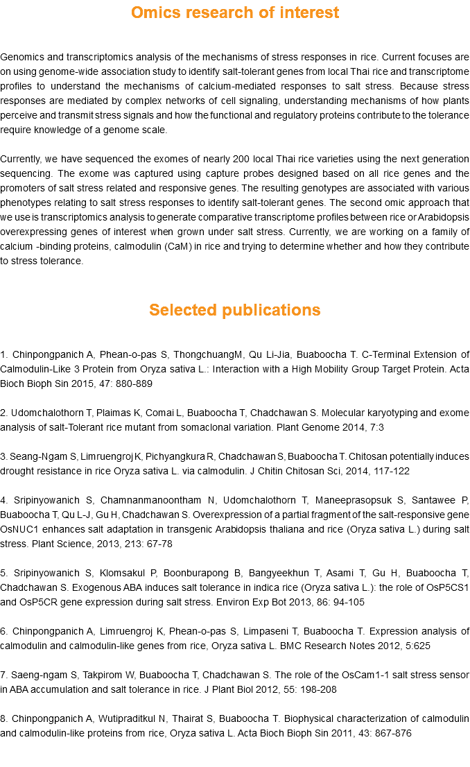 Omics research of interest Genomics and transcriptomics analysis of the mechanisms of stress responses in rice. Current focuses are on using genome-wide association study to identify salt-tolerant genes from local Thai rice and transcriptome profiles to understand the mechanisms of calcium-mediated responses to salt stress. Because stress responses are mediated by complex networks of cell signaling, understanding mechanisms of how plants perceive and transmit stress signals and how the functional and regulatory proteins contribute to the tolerance require knowledge of a genome scale. Currently, we have sequenced the exomes of nearly 200 local Thai rice varieties using the next generation sequencing. The exome was captured using capture probes designed based on all rice genes and the promoters of salt stress related and responsive genes. The resulting genotypes are associated with various phenotypes relating to salt stress responses to identify salt-tolerant genes. The second omic approach that we use is transcriptomics analysis to generate comparative transcriptome profiles between rice or Arabidopsis overexpressing genes of interest when grown under salt stress. Currently, we are working on a family of calcium -binding proteins, calmodulin (CaM) in rice and trying to determine whether and how they contribute to stress tolerance. Selected publications 1. Chinpongpanich A, Phean-o-pas S, ThongchuangM, Qu Li-Jia, Buaboocha T. C-Terminal Extension of Calmodulin-Like 3 Protein from Oryza sativa L.: Interaction with a High Mobility Group Target Protein. Acta Bioch Bioph Sin 2015, 47: 880-889 2. Udomchalothorn T, Plaimas K, Comai L, Buaboocha T, Chadchawan S. Molecular karyotyping and exome analysis of salt-Tolerant rice mutant from somaclonal variation. Plant Genome 2014, 7:3 3. Seang-Ngam S, Limruengroj K, Pichyangkura R, Chadchawan S, Buaboocha T. Chitosan potentially induces drought resistance in rice Oryza sativa L. via calmodulin. J Chitin Chitosan Sci, 2014, 117-122 4. Sripinyowanich S, Chamnanmanoontham N, Udomchalothorn T, Maneeprasopsuk S, Santawee P, Buaboocha T, Qu L-J, Gu H, Chadchawan S. Overexpression of a partial fragment of the salt-responsive gene OsNUC1 enhances salt adaptation in transgenic Arabidopsis thaliana and rice (Oryza sativa L.) during salt stress. Plant Science, 2013, 213: 67-78 5. Sripinyowanich S, Klomsakul P, Boonburapong B, Bangyeekhun T, Asami T, Gu H, Buaboocha T, Chadchawan S. Exogenous ABA induces salt tolerance in indica rice (Oryza sativa L.): the role of OsP5CS1 and OsP5CR gene expression during salt stress. Environ Exp Bot 2013, 86: 94-105 6. Chinpongpanich A, Limruengroj K, Phean-o-pas S, Limpaseni T, Buaboocha T. Expression analysis of calmodulin and calmodulin-like genes from rice, Oryza sativa L. BMC Research Notes 2012, 5:625 7. Saeng-ngam S, Takpirom W, Buaboocha T, Chadchawan S. The role of the OsCam1-1 salt stress sensor in ABA accumulation and salt tolerance in rice. J Plant Biol 2012, 55: 198-208 8. Chinpongpanich A, Wutipraditkul N, Thairat S, Buaboocha T. Biophysical characterization of calmodulin and calmodulin-like proteins from rice, Oryza sativa L. Acta Bioch Bioph Sin 2011, 43: 867-876 
