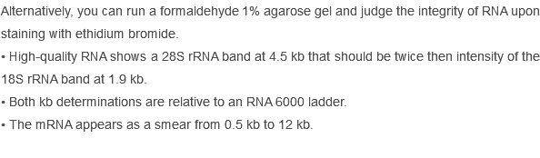 Alternatively, you can run a formaldehyde 1% agarose gel and judge the integrity of RNA upon staining with ethidium bromide.
• High-quality RNA shows a 28S rRNA band at 4.5 kb that should be twice then intensity of the 18S rRNA band at 1.9 kb.
• Both kb determinations are relative to an RNA 6000 ladder.
• The mRNA appears as a smear from 0.5 kb to 12 kb.
